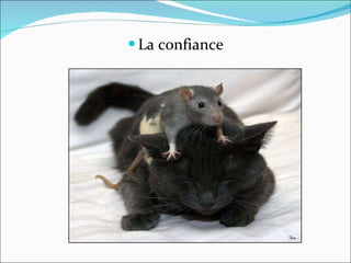 La confiance