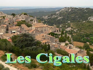 Les Cigales 