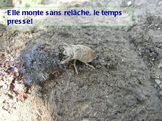 Elle monte sans relâche, le temps presse! 