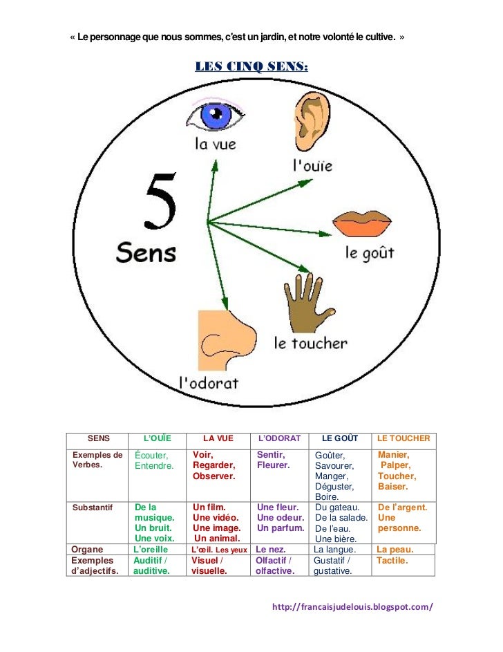 Les cinq sens de l'humanité