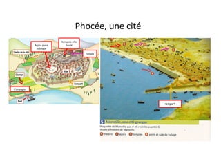 Phocée, une cité
Agora place
publique
Acropole ville
haute
Temple
rempart
Campagne
 