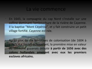 La vie commence
•
    En 1643, la compagnie du cap Nord s'installe sur une
    colline dominant l'embouchure de la rivière de Cayenne.
    Il la baptise "Mont Cépérou", et y fait construire un petit
    village fortifié. Cayenne est née.

•
    Après plus de dix tentatives de colonisation (de 1604 à
    1652), qui toutes échoueront, la première mise en valeur
    du territoire guyanais débute à partir de 1656 avec des
    colons hollandais amenant avec eux les premiers
    esclaves africains.
 