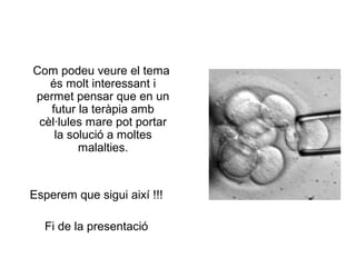 Com podeu veure el tema
és molt interessant i
permet pensar que en un
futur la teràpia amb
cèl·lules mare pot portar
la solució a moltes
malalties.

Esperem que sigui així !!!
Fi de la presentació

 