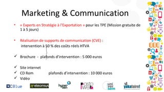 Marketing & Communication
•

« Experts en Stratégie à l’Exportation » pour les TPE (Mission gratuite de
1 à 5 jours)

•

Réalisation de supports de communication (CVE) :
intervention à 50 % des coûts réels HTVA

 Brochure - plafonds d’intervention : 5 000 euros
 Site internet
 CD Rom
 Vidéo

plafonds d’intervention : 10 000 euros

 