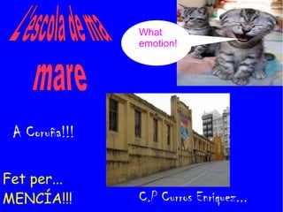 Fet per...
MENCÍA!!!
What
emotion!
C.P Curros Enriquez...
A Coruña!!!
 