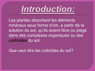 Les plantes absorbent les éléments
minéraux sous forme d’ion, a partir de la
solution du sol, qu’ils soient libre ou piégé
dans des complexes organiques ou des
colloïdes du sol.
Que veut dire les colloïdes du sol?
 