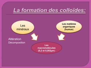  Altération
Décomposition
Les matières
organiques
(humus)
Les
minéraux
Les
macromolécules
(0,2 et 0,002µm)
 