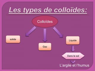 L’argile et l’humus
Colloïdes
solide Liquide
Gaz
Dans le sol
 