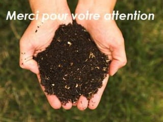 Les colloides ( Les complexes colloïdes du sol )