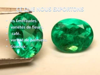 CE QUE NOUS EXPORTONSles Émeraudes. variétés de fleurs. café. variété de palmiers. Guadua. 