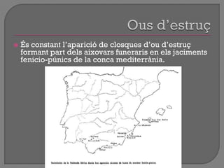  És constant l‟aparició de closques d‟ou d‟estruç
formant part dels aixovars funeraris en els jaciments
fenicio-púnics de la conca mediterrània.
 