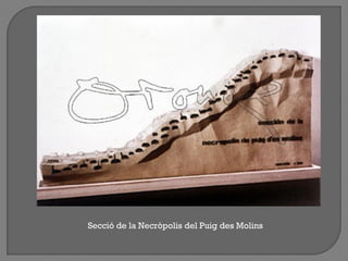 Secció de la Necròpolis del Puig des Molins
 