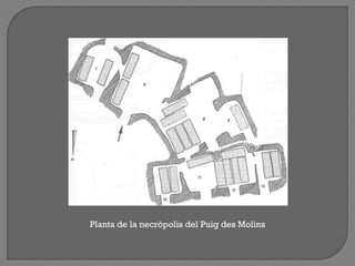 Planta de la necròpolis del Puig des Molins
 