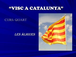 ““VISC A CATALUNYA”VISC A CATALUNYA”
Curs: QuartCurs: Quart
Les àLiguesLes àLigues
 