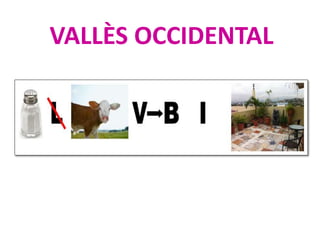 VALLÈS OCCIDENTAL
 