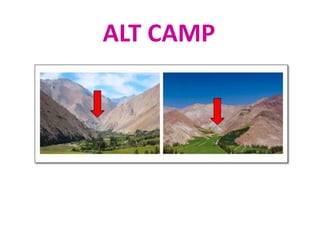 ALT CAMP
 