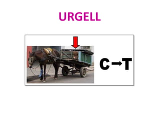 URGELL
 