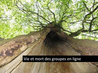 Vie et mort des groupes en ligne

 