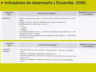 Indicadores de desempeño ( Escamilla: 2008)  