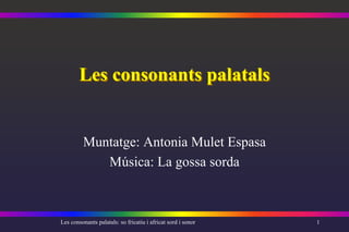 Les consonants palatals


         Muntatge: Antonia Mulet Espasa
            Música: La gossa sorda



Les consonants palatals: so fricatiu i africat sord i sonor   1
 