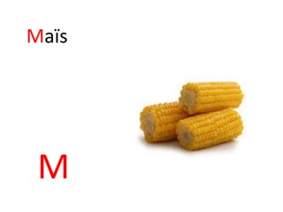 M
Maïs