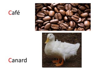 Café
Canard
