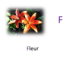 F
Fleur