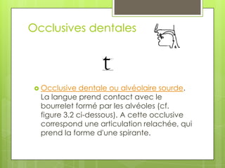 Les consonnes occlusives du français PPT