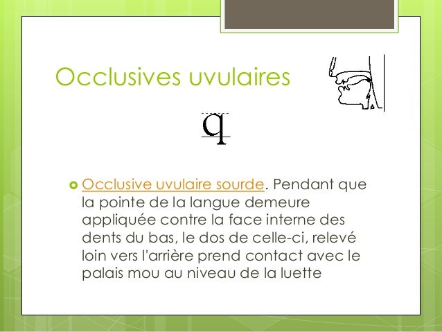 Les consonnes occlusives du français