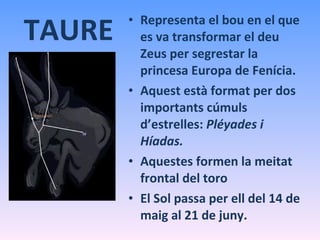 TAURE Representa el bou en el que es va transformar el deu Zeus per segrestar la princesa Europa de Fenícia. Aquest està format per dos importants cúmuls d’estrelles:  Pléyades i Híadas. Aquestes formen la meitat frontal del toro El Sol passa per ell del 14 de maig al 21 de juny. 