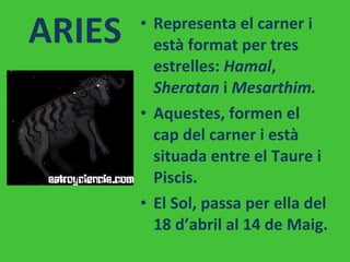ARIES Representa el carner i està format per tres estrelles:  Hamal ,  Sheratan  i  Mesarthim.  Aquestes, formen el cap del carner i està situada entre el Taure i Piscis.  El Sol, passa per ella del 18 d’abril al 14 de Maig. 