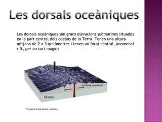 Les dorsals oceàniques són grans elevacions submarines situades en la part central dels oceans de la Terra. Tenen una altura mitjana de 2 a 3 quilòmetres i tenen un forat central, anomenat rift, per on surt magma Formació d’una dorsal oceànica 