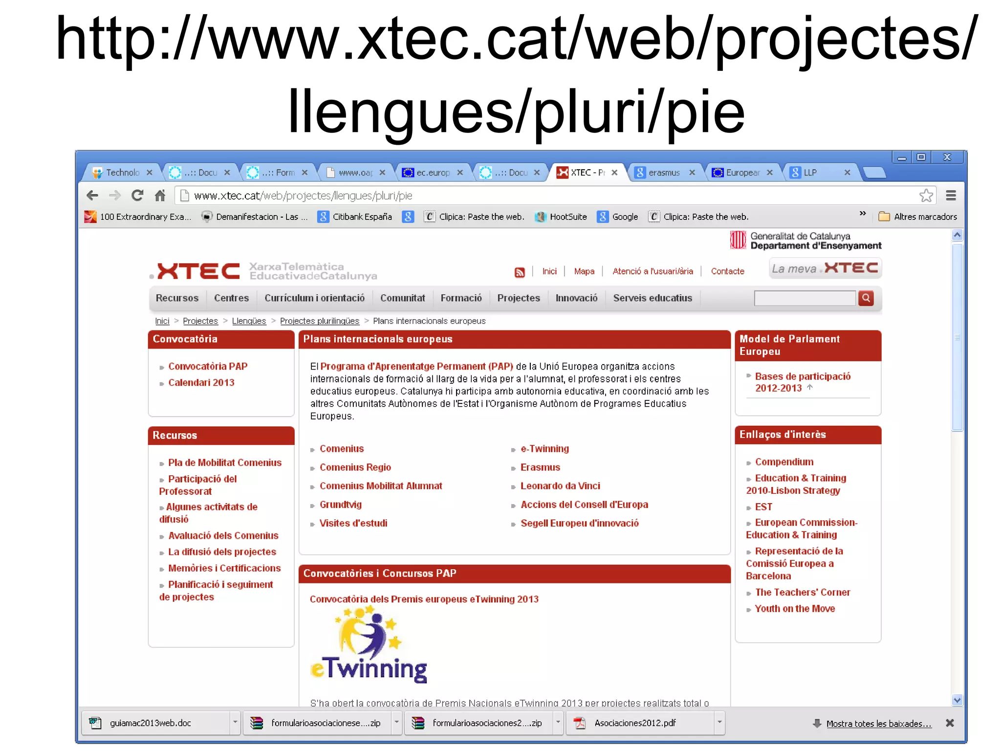 http://www.xtec.cat/web/projectes/
         llengues/pluri/pie
 