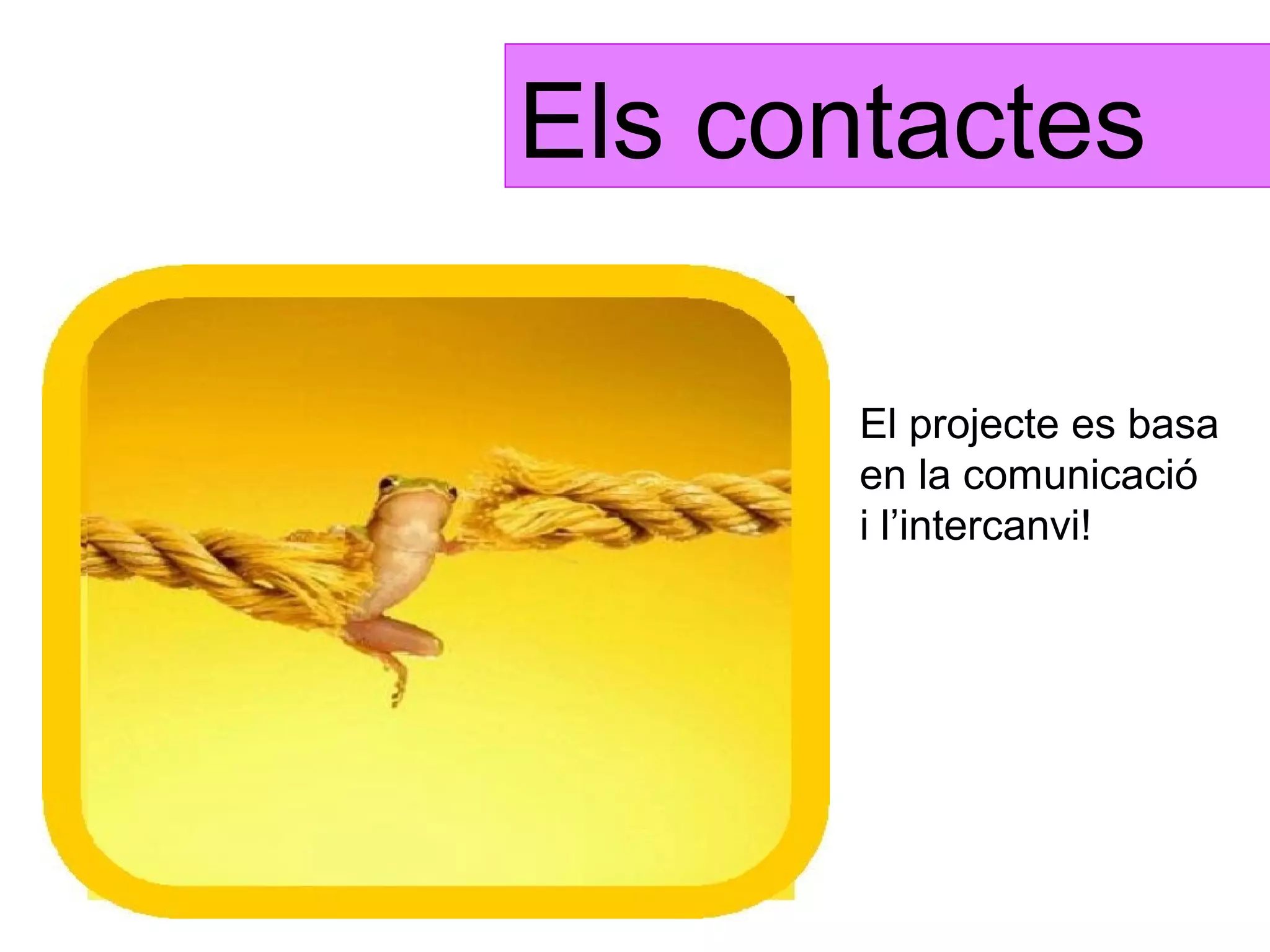 Els contactes

       El projecte es basa
       en la comunicació
       i l’intercanvi!
 