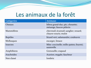 Les animaux de la forêt
Catégories            Animaux
Oiseaux               hibou grand-duc; pic; chouette;
                      mésange; faucon pèlerin
Mammifères            chevreuil; écureuil; sanglier; renard;
                      chauve-souris; mulot
Reptiles              lézard vert; salamandre; couleuvre
Mollusques            escargot, limace
Insectes              Mite: coccinelle; mille-pattes; fourmi;
                      sauterelle
Amphibiens            Grenouille; crapaud
Arachnides            Acarien; mygale; faucheur
Non classé            lombric
 