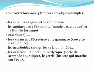 Les invertébrés avec 5 familles et quelques exemples:

- les vers : la sangsue et le ver de vase…..
- les mollusques : l’anodonte (moule d’eau douce) et
  la limnée (escargot
d’eau douce)…..
- les crustacés : l’écrevisse et le gammare (crevette
  d’eau douce)…..
- les arachnides (araignées) : la dolomède…
- les insectes : la libellule, le dytique (sorte de
  scarabée aquatique), le gerris (insecte qui marche
  sur l’eau)…
 
