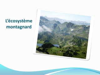 L’écosystème
montagnard
 