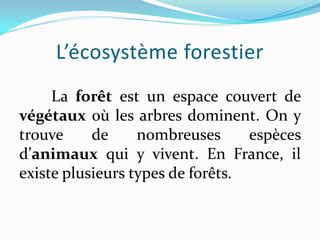 L’écosystème forestier
     La forêt est un espace couvert de
végétaux où les arbres dominent. On y
trouve     de     nombreuses      espèces
d’animaux qui y vivent. En France, il
existe plusieurs types de forêts.
 