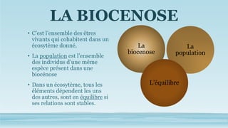 LA BIOCENOSE
• C’est l’ensemble des êtres
vivants qui cohabitent dans un
écosytème donné.
• La population est l’ensemble
des individus d’une même
espèce présent dans une
biocénose
• Dans un écosytème, tous les
éléments dépendent les uns
des autres, sont en équilibre si
ses relations sont stables.
La
biocenose
La
population
L’équilibre
 