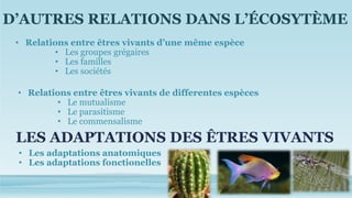 D’AUTRES RELATIONS DANS L’ÉCOSYTÈME
• Relations entre êtres vivants d’une même espèce
• Les groupes grégaires
• Les familles
• Les sociétés
• Relations entre êtres vivants de differentes espèces
• Le mutualisme
• Le parasitisme
• Le commensalisme
LES ADAPTATIONS DES ÊTRES VIVANTS
• Les adaptations anatomiques
• Les adaptations fonctionelles
 