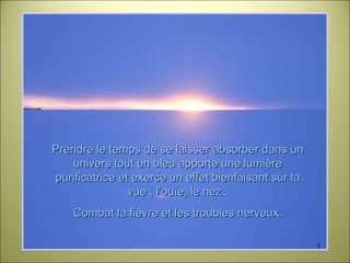 Prendre le temps de se laisser absorber dans un univers tout en bleu apporte une lumière purificatrice et exerce un effet bienfaisant sur la vue , l’ouïe, le nez . Combat la fièvre et les troubles nerveux. 