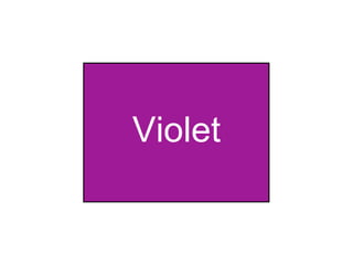 Violet 