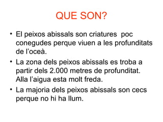 QUE SON?
• El peixos abissals son criatures poc
conegudes perque viuen a les profunditats
de l’oceà.
• La zona dels peixos abissals es troba a
partir dels 2.000 metres de profunditat.
Alla l’aigua esta molt freda.
• La majoria dels peixos abissals son cecs
perque no hi ha llum.
 