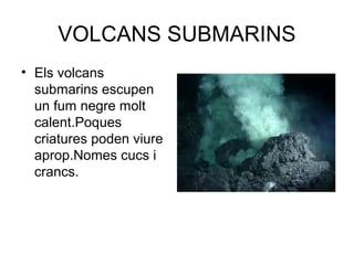 VOLCANS SUBMARINS
• Els volcans
submarins escupen
un fum negre molt
calent.Poques
criatures poden viure
aprop.Nomes cucs i
crancs.
 