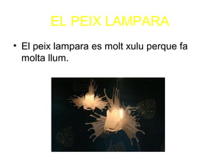 EL PEIX LAMPARA
• El peix lampara es molt xulu perque fa
molta llum.
 