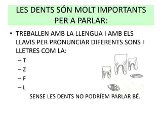 LES DENTS SÓN MOLT IMPORTANTS
PER A PARLAR:
• TREBALLEN AMB LA LLENGUA I AMB ELS
LLAVIS PER PRONUNCIAR DIFERENTS SONS I
LLETRES COM LA:
– T
– Z
– F
– L
SENSE LES DENTS NO PODRÍEM PARLAR BÉ.
 
