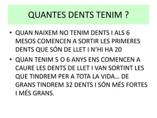 QUANTES DENTS TENIM ?
• QUAN NAIXEM NO TENIM DENTS I ALS 6
MESOS COMENCEN A SORTIR LES PRIMERES
DENTS QUE SÓN DE LLET I N’HI HA 20
• QUAN TENIM 5 O 6 ANYS ENS COMENCEN A
CAURE LES DENTS DE LLET I VAN SORTINT LES
QUE TINDREM PER A TOTA LA VIDA… DE
GRANS TINDREM 32 DENTS I SÓN MÉS FORTES
I MÉS GRANS.
 