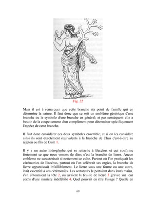 Fig. 22

Mais il est à remarquer que cette branche n'a point de famille qui en
détermine la nature. Il faut donc que ce soit un emblème générique d'une
branche ou le symbole d'une branche en général; et par conséquent elle a
besoin de la coupe comme d'un complément pour déterminer spécifiquement
l'espèce de cette branche.

II faut donc considérer ces deux symboles ensemble, et si on les considère
ainsi ils sont exactement équivalents à la branche de Chus c'est-à-dire au
rejeton ou fils de Cush 1.

Il y a un autre hiéroglyphe qui se rattache à Bacchus et qui confirme
fortement ce que nous venons de dire; c'est la branche de lierre. Aucun
emblème ne caractérisait si nettement ce culte. Partout où l'on pratiquait les
cérémonies de Bacchus, partout où l'on célébrait ses orgies, la branche de
lierre apparaissait infailliblement. Le lierre sous une forme ou une autre,
était essentiel à ces cérémonies. Les sectateurs le portaient dans leurs mains,
s'en entouraient la tête 2, ou avaient la feuille de lierre 3 gravée sur leur
corps d'une manière indélébile 4. Quel pouvait en être l'usage ? Quelle en


                                      69
 