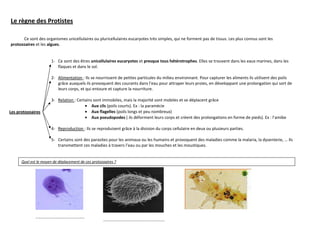 Le règne des Protistes

      Ce sont des organismes unicellulaires ou pluricellulaires eucaryotes très simples, qui ne forment pas de tissus. Les plus connus sont les
protozoaires et les algues.


                       1- Ce sont des êtres unicellulaires eucaryotes et presque tous hétérotrophes. Elles se trouvent dans les eaux marines, dans les
                          flaques et dans le sol.

                       2- Alimentation : Ils se nourrissent de petites particules du milieu environnant. Pour capturer les aliments ils utilisent des poils
                          grâce auxquels ils provoquent des courants dans l’eau pour attraper leurs proies, en développant une prolongation qui sort de
                          leurs corps, et qui entoure et capture la nourriture.

                       3- Relation : Certains sont immobiles, mais la majorité sont mobiles et se déplacent grâce
                                         • Aux cils (poils courts). Ex : la paramécie
Les protozoaires                         • Aux flagelles (poils longs et peu nombreux)
                                         • Aux pseudopodes ( ils déforment leurs corps et créent des prolongations en forme de pieds). Ex : l’amibe

                       4- Reproduction : Ils se reproduisent grâce à la division du corps cellulaire en deux ou plusieurs parties.

                       5- Certains sont des parasites pour les animaux ou les humains et provoquent des maladies comme la malaria, la dysenterie, … Ils
                          transmettent ces maladies à travers l’eau ou par les mouches et les moustiques.


      Quel est le moyen de déplacement de ces protozoaires ?




              ……………………………………………
                                                    ……………………………………………………….
 