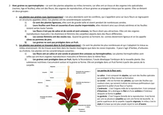 2- Avec graines ou spermatophytes – ce sont des plantes adaptées au milieu terrestre, car elles ont un tissus et des organes très spécialisées
   (racines, tige et feuilles), elles ont des fleurs, des organes de reproduction, et leurs graines se propagent mieux que les spores. Elles se divisent
   en deux groupes :

       a. Les plantes aux graines nues (gymnospermes) – Les plus abondants sont les conifères, qui s’appellent ainsi car leurs fleurs se regroupent
          en structures appelées cônes. Ces plantes ont les caractéristiques suivantes :
                1)        Ce sont des plantes ligneuses, elles sont de grande taille et vivent pendant de nombreuses années.
                2)        Leurs feuilles sont fines et couvertes d’une couche imperméable, elles résistent ainsi aux climats extrêmes et les feuilles
                  restent vertes toute l’année.
                3)        Les fleurs n’ont pas de calice et de corole et sont unisexes, les fleurs étant peu attractives. Elles ont des organes
                  reproducteurs masculins ( les étamines) et féminins (les carpelles) séparés dans des fleurs différentes.
                4)        Les connes féminins ont des ovules nus. Quand les graines se forment, les connes deviennent ligneux et on les appelle
                  cônes ou pommes de pins.
                5)        Les graines ne sont pas protégées dans un fruit.
       b. Les plantes aux graines se trouvant dans le fruit (angiospermes) – Ce sont les plantes les plus nombreuses et qui s’adaptent le mieux au
          milieu environnant. On les trouve aussi bien dans les hautes montagnes que dans les zones tropicales. Il peut s’agir d’herbes, d’arbustes
          ou d’arbres. Ces plantes ont les caractéristiques suivantes :
                1)        Les fleurs ont un calice et une corole et peuvent être unisexes ou hermaphrodites. Les plantes hermaphrodites sont
                  celles qui ont leurs organes reproducteurs masculins et féminins dans la même fleur.
                2)        Les graines sont protégées dans un fruit. Après la fécondation, l’ovule développe l’embryon de la nouvelle plante. Des
                  substances nutritives s’accumulent autour et la graine se forme. Elle est protégée dans un fruit formé à partir des parois de la
                  carpelle.

                                                                                                 Les parties de la fleur sont :

                                                                                                 Le calice : il est composé de sépales, qui sont des feuilles spéciales
                                                                                                 qui protègent la fleur durant sa formation
                                                                                                 La corole : elle est formée des pétales, qui sont des feuilles aux
                                                                                                 couleurs vives, qui servent à attirer les animaux pollinisateurs (qui
                                                                                                 apportent le pollen d’une fleur à l’autre).
                                                                                                 L’androcée : c’est l’organe mâle de la reproduction. Il est composé
                                                                                                 d’étamines. On y distingue le filet et d’une anthère à l’intérieur
                                                                                                 desquels se forme le pollen.
                                                                                                 Le gynécée : C’est l’organe femelle de la reproduction. Il est formé
                                                                                                 par une ou plusieurs carpelles qui ont une forme de bouteille : la
                                                                                                 partie supérieure de la carpelle s’appelle stigmate, le milieu c’est le
                                                                                                 style et la base qui est plus ample reçoit le nom d’ovaire.
 